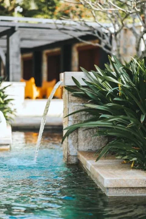 Luxury swimming pool edge with landscaped planting and water-feature fountain effect.