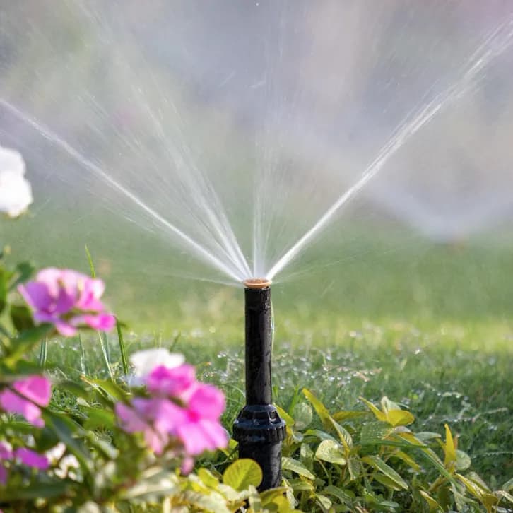 Irrigation sprinkler watering supporting reliable establishment and peak-season performance.